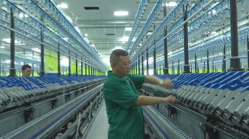 制造变 智造 10万锭涤纶纱线智慧工厂项目引领纺织业跨越升级